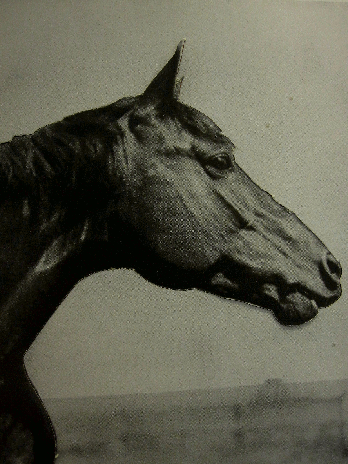 Horse USA — collage animé